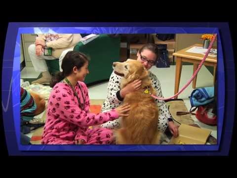 Greenwood Reading Night 2016