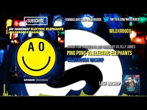 AvB vs.Jay Hardway vs.Olly James - Ping Pong vs.Electric Elephants (WildXRoodX Mashup)