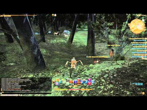FF ARR XIV: Bard Class Quest - Level 30