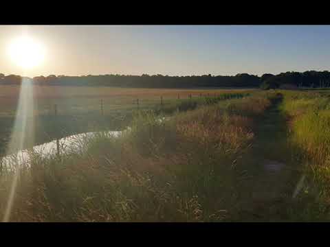 Annalee - Aldenmark Niklasson -  Instrumental edit