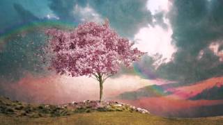 Tori Amos - Snow Cherries From France (Lyrics) HD