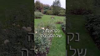 קצת חומר למחשבה (הבדלים קטנים בין הגינה הישראלית והאנגלית)
