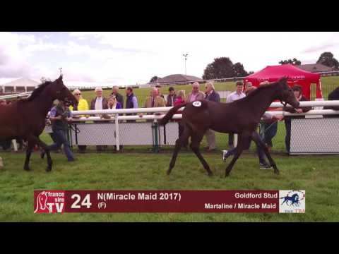 TBA Foal Show 2017 - Lot 24 - F17 - Martaline & Miracle Maid