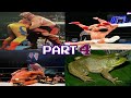Innovated Wrestling Moves PART 4