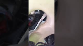 The Problem with Mini R56 Foglight and sidelight bulbs.