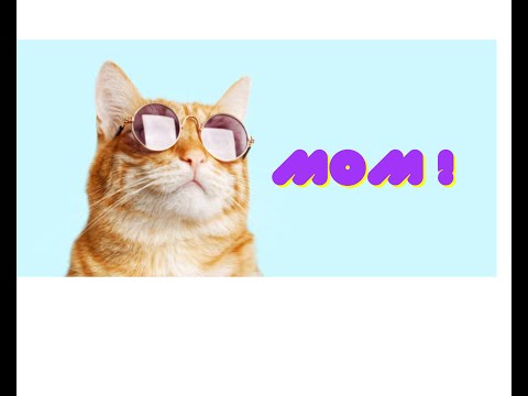 Funniest TikTok Dogs and Cats #9😂 Try Not to Laugh with TikTok Animals 2023