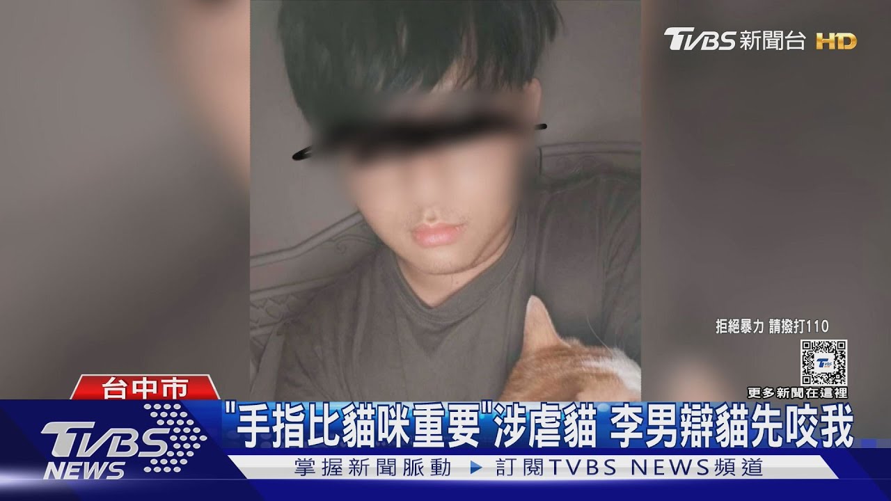 「手指比貓咪重要」涉虐貓 李男辯貓先咬我