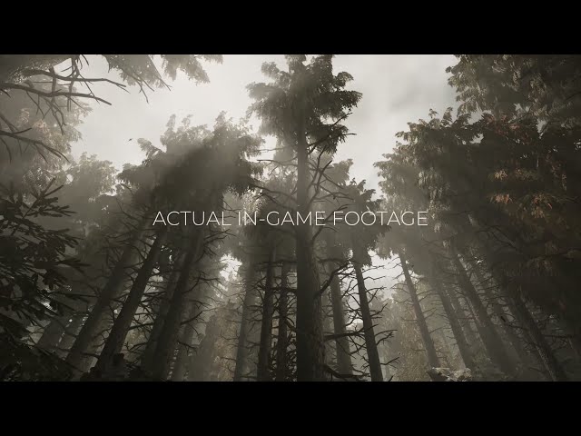 Video - The Occultist (PC)