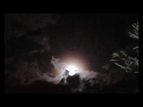 Better Safe than Sorry, DJ WILL ILLBEATS