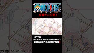 アニメ「#ONEPIECE」見放題配信への追加は木曜日‼️1175話‼️ #onepiece #原撮