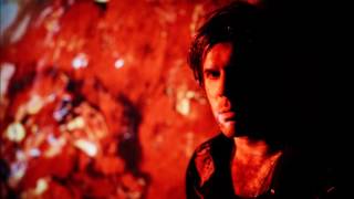 Ed Harcourt - You give me more than love