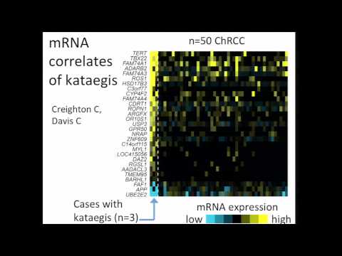 Comprehensive Molecular Characterization of Chromophobe Renal Cell Carcinoma - Chad Creighton