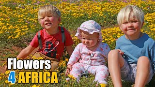 FLOWERS FOR AFRICA! 🌼  West Coast Wildflowers