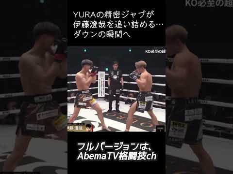 YURAの精密ジャブが伊藤澄哉を追い詰める…ダウンの瞬間へ