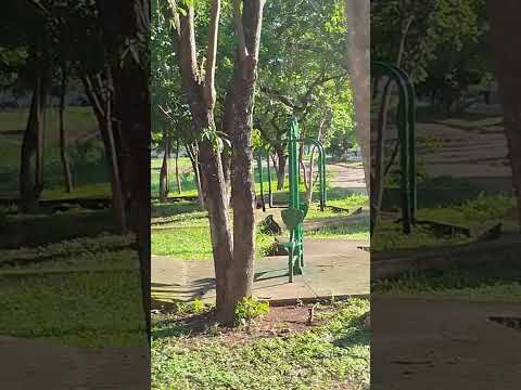 Lugar lindo em Conceição do Araguaia. Muita farra