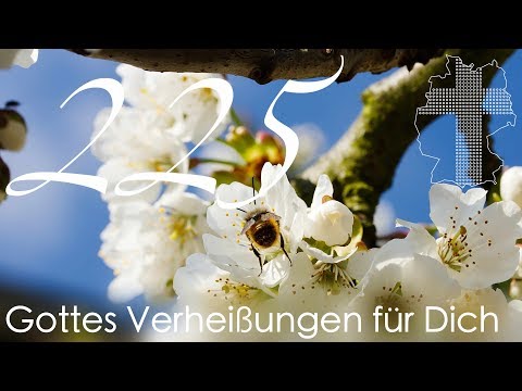 Gottes Verheißungen für Dich - Offenbarung 11,15 | Videokalender 225/365 - Deutschland braucht JESUS