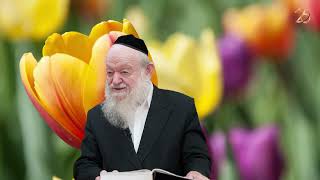 אני רוצה להיות עשיר! | הרב יוסף צ. בן פורת (הרב יוסף צבי בן פורת) - התמונה מוצגת ישירות מתוך אתר האינטרנט יוטיוב. זכויות היוצרים בתמונה שייכות ליוצרה. קישור קרדיט למקור התוכן נמצא בתוך דף הסרטון אני רוצה להיות עשיר! | הרב יוסף צ. בן פורת (הרב יוסף צבי בן פורת) - התמונה מוצגת ישירות מתוך אתר האינטרנט יוטיוב. זכויות היוצרים בתמונה שייכות ליוצרה. קישור קרדיט למקור התוכן נמצא בתוך דף הסרטון