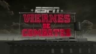 Custom theme song written, recorded, mixed and mas