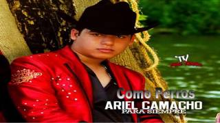Cómo Perros- Ariel Camacho Y Los Plebes Del Rancho (Corridos En Vivo 2016)