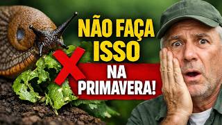 NÃO FAÇA ISSO! 7 Erros Fatais no Controle de Pragas do Jardim na Primavera