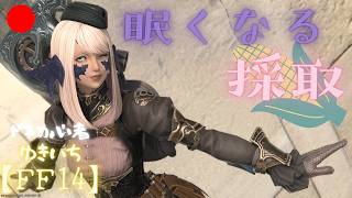 【FF14】気づいたら寝ている採取🌽【manaDC】615