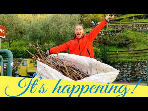 Day 90 of a big renovation on Lake Como/Ape and the big bag