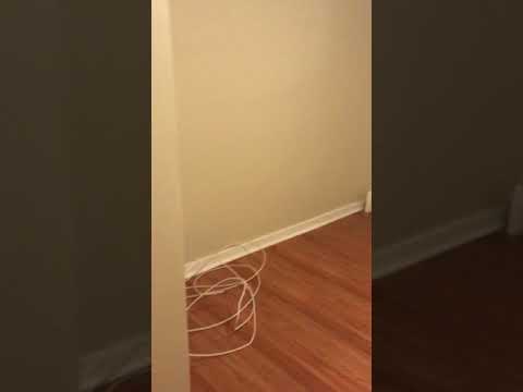 Boston Apartments - 2 Beds 1 Bath - Boston - East Boston - Bremen St. Park/airport Station $1,600