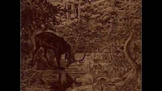 Agalloch - Kneel to the Cross  (Sol Invictus cover - ripped)