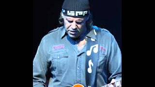 The Vargas blues band, Roy`s blues