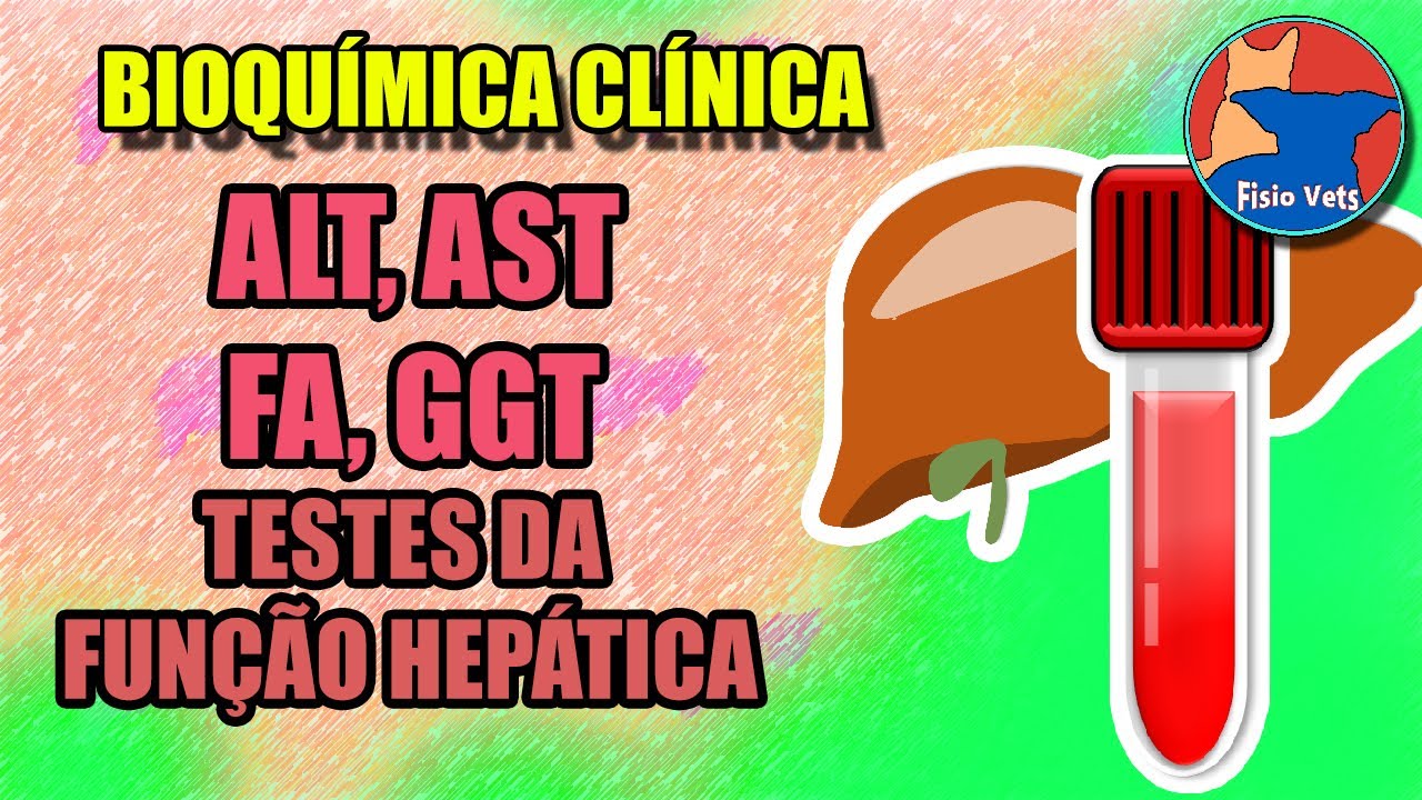 Avaliação laboratorial da Função Hepática | introdução (Parte 1) - Medicina veterinária
