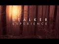 Red Forest | Dark Ambient Mix