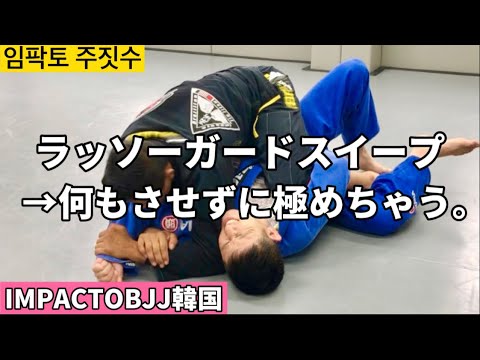 【ブラジリアン柔術】韓国で柔術!!変形ラッソーガードスイープからそのまま極めちゃうとこーなるんです!!【Brazilianjiujitsu】
