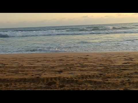 download lagu mp3 mp4 Pura Vida Chihuahua, download mp3 Pura Vida Chihuahua free download, download mp3 Pura Vida Chihuahua