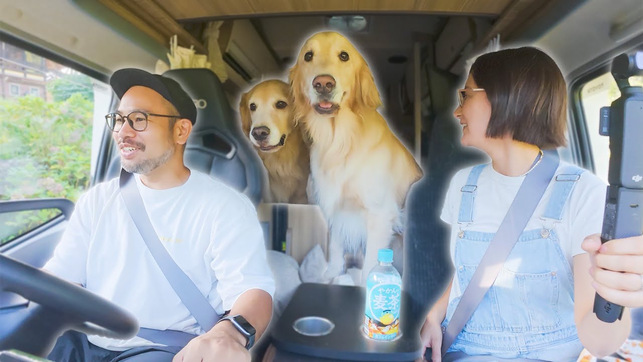 【車中泊】愛犬の老いと息子の成長を感じた誕生日キャンプ