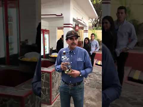 download lagu mp3 mp4 Poesia Del Borracho, download lagu Poesia Del Borracho gratis, unduh video klip Download Poesia Del Borracho Mp3 dan Mp4 Full Gratis