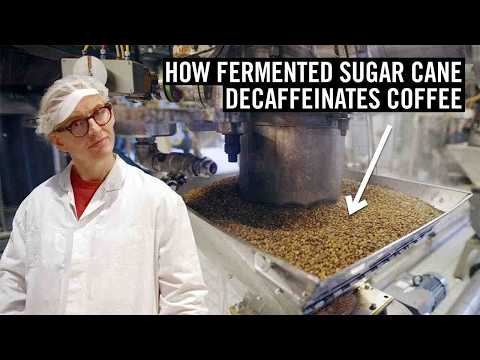 Ethyl Acetate Decaf: What You Need To Know