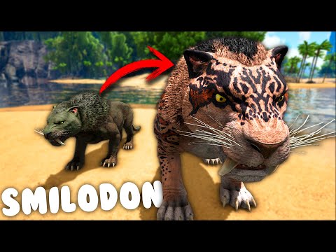 COMO TAMEAR SMILODON Y TODAS SUS HABILIDADES - ARK: PALEO EXPANSION MOD