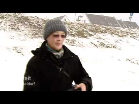 Der gutgekleidete Hund