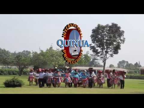 CASARME YO NO QUIERO (HAYDEE PIZARRO)