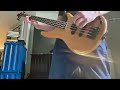 Suzanne is getting married by screeching weasel (bass cover)