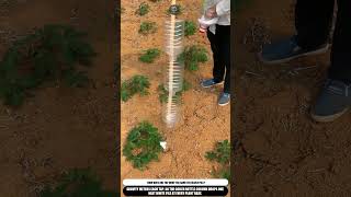 DIY Fertilizer Tool Drops Precise Piles At Plant Base