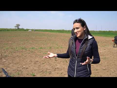 Znanjem do prinosa ep. 12 06.05.2021. Ogledna setva kukuruza