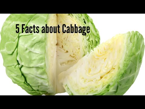 , title : '5 Facts about Cabbage | 5Factshub'