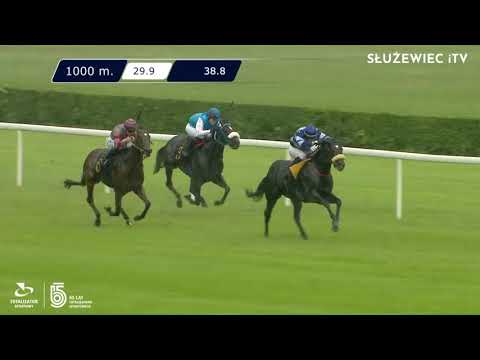 12.06.2021 (D13; G1; Tor: 2.8; 25°C)