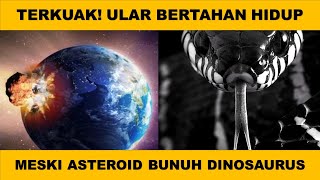 Download lagu Sains: Terkuaknya, Ular Bertahan Hidup Meski Serangan Asteroid Bunuh Dinosaurus? mp3 Download lagu Sains: Terkuaknya, Ular Bertahan Hidup Meski Serangan Asteroid Bunuh Dinosaurus? mp3