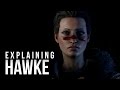 DEFAULT AND CUSTOM HAWKE in Dragon Age ...