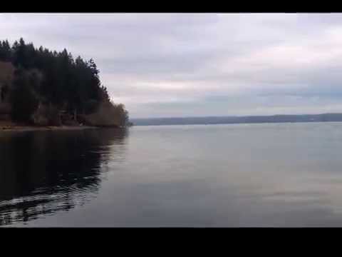 Baby Orcas come to check out small rowboat (It was really scary)