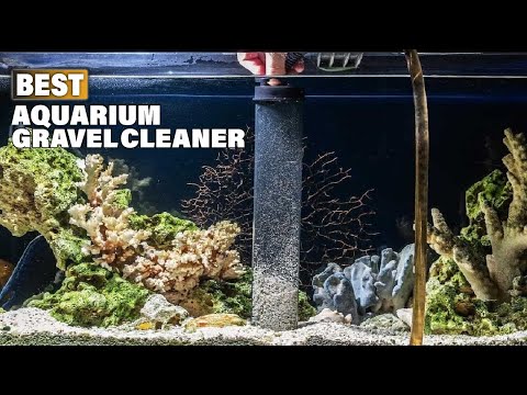 Top 10 Best Aquarium Gravel Cleaner On Amazon