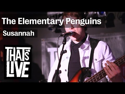 The Elementary Penguins - Susannah ( live @ BNN That's Live - 3FM )