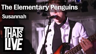 The Elementary Penguins - Susannah ( live @ BNN That's Live - 3FM )